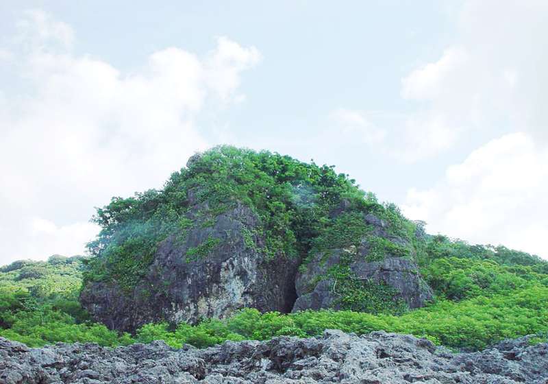 【第212期】在地人激推「私房秘境」全攻略!帶你暢遊恆春萬里桐