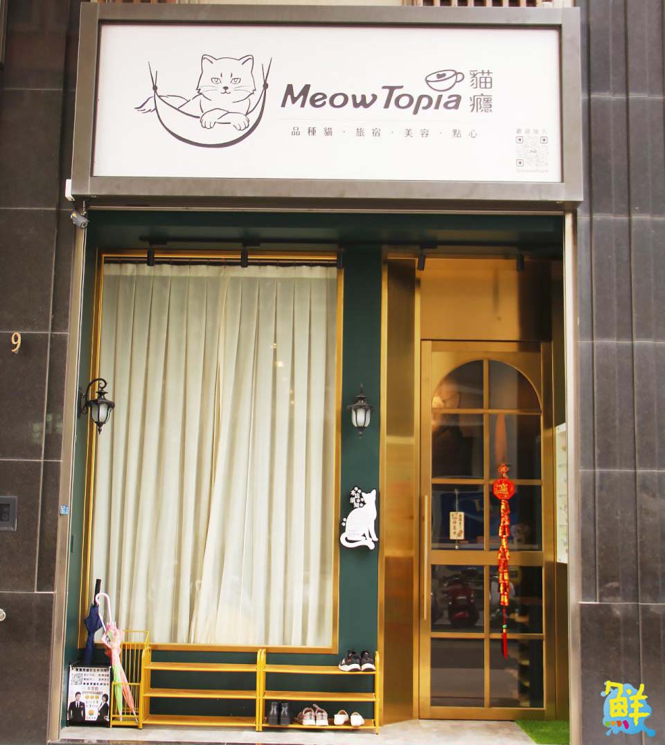 可愛爆擊!高雄超夯貓咖 貓癮貓坊 只要300元入場費 即可享受嚕貓樂趣