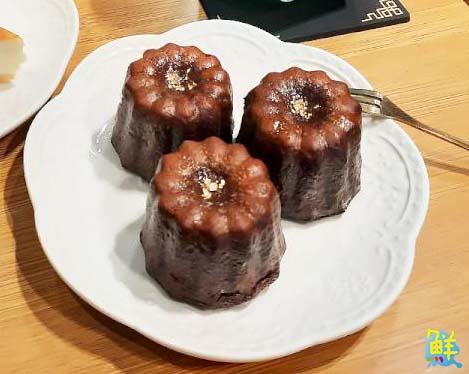 可愛爆擊!高雄超夯貓咖 貓癮貓坊 只要300元入場費 即可享受嚕貓樂趣