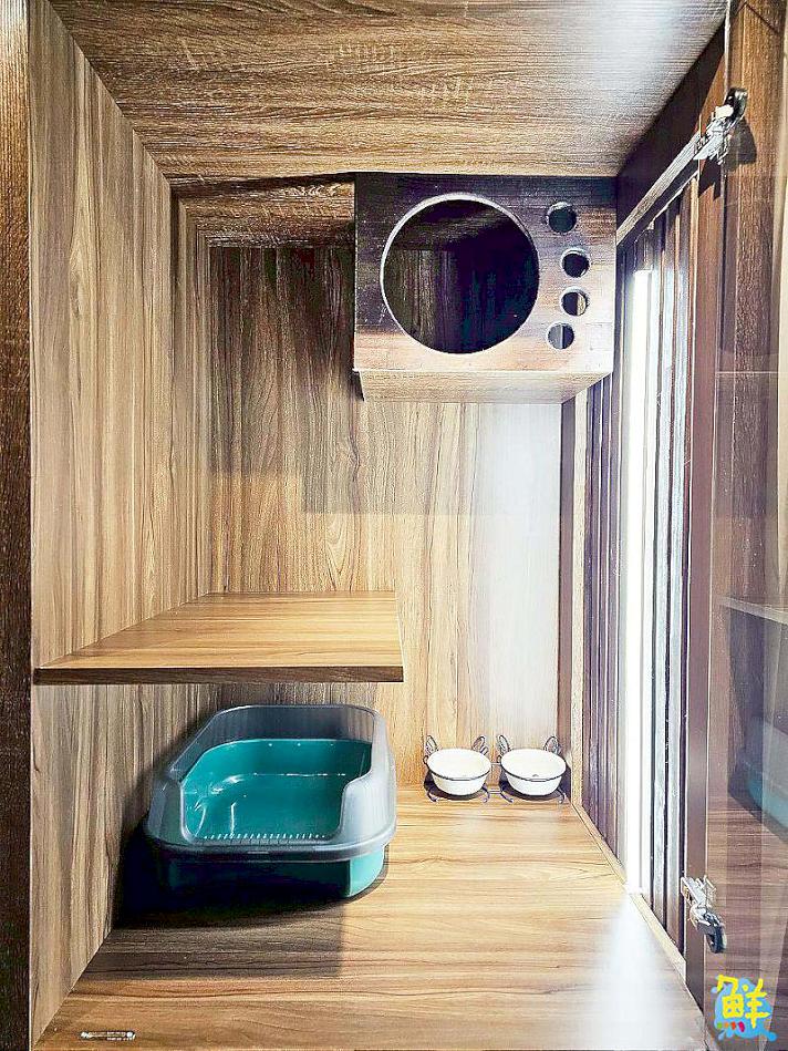 可愛爆擊!高雄超夯貓咖 貓癮貓坊 只要300元入場費 即可享受嚕貓樂趣