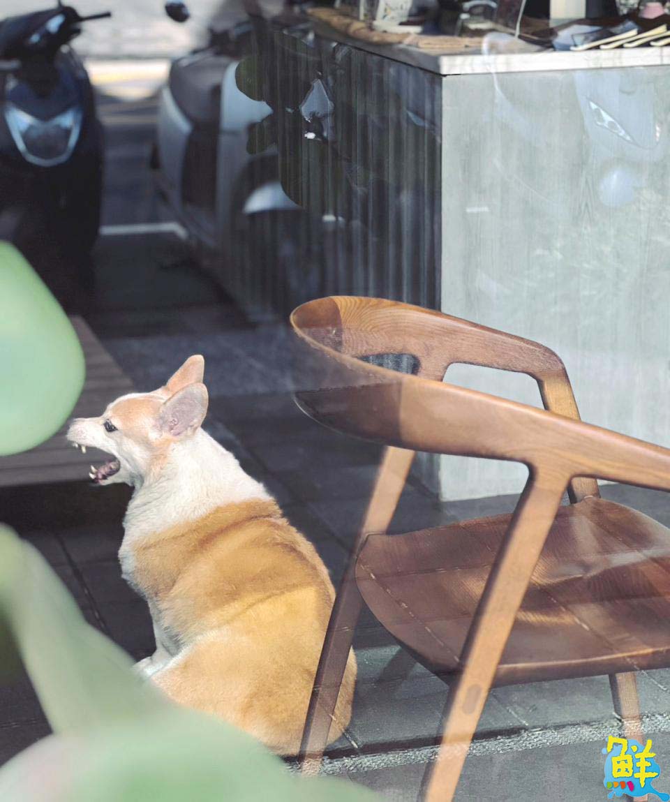 北高雄最療癒的咖啡廳 菁coffee drink美術店 年年暖心伴隨您