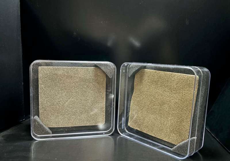 中山大學化學系師陳軍互團隊開發鹼性電解海水製氫原型機 獲多獎肯定