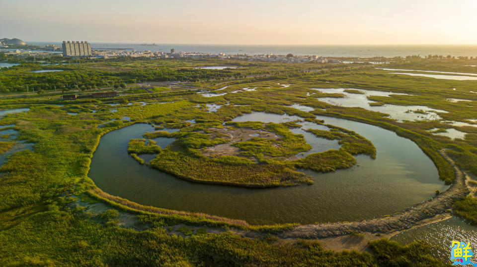 秋遊就選北高雄!「2025海線潮旅行」開放報名 四條遊程帶你一覽海線風光