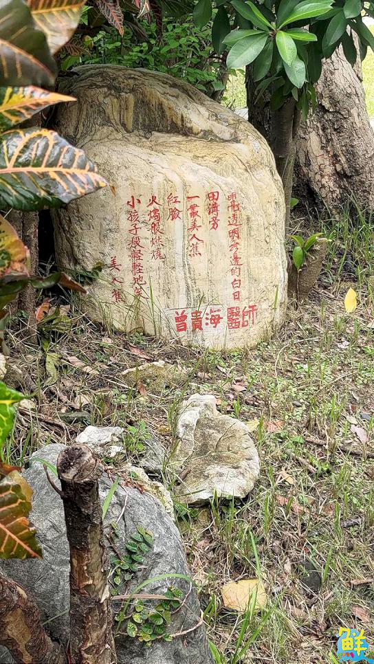 2025客家悅讀節登場 邀大家尋詩徑打卡抽獎 緬懷曾貴海醫師