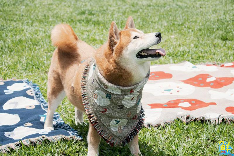 誠品文具大影業攜手京都SOU.SOU 百樣美式復古X科幻風商品開賣中