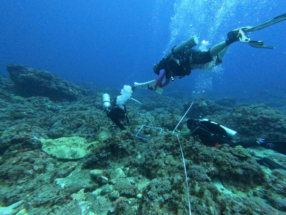 中颱山陀兒襲台致巴貝多籍貨輪擱淺蘭嶼鄉海域 海保署等單位續移除殘貨及船體
