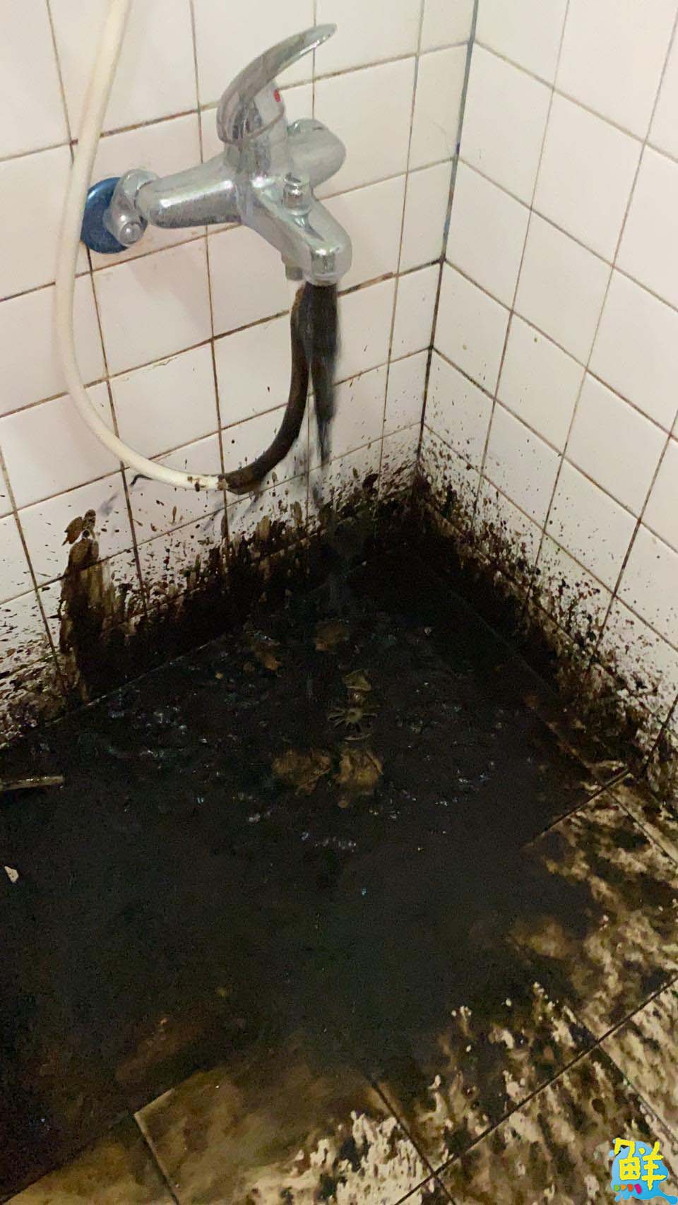 水塔水管清洗達人 全家潔  一流技術用心守護您的用水品質