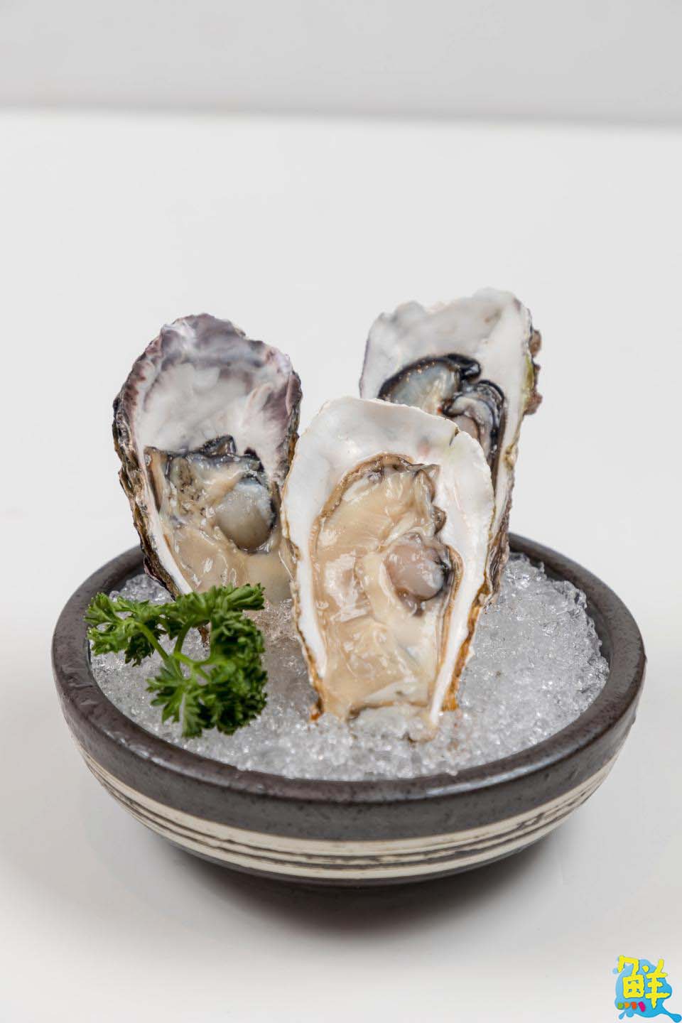 火鍋控不想公開的口袋名單!鼓山必吃 聚錦福麻辣.鴛鴦.錦緻獨享鍋