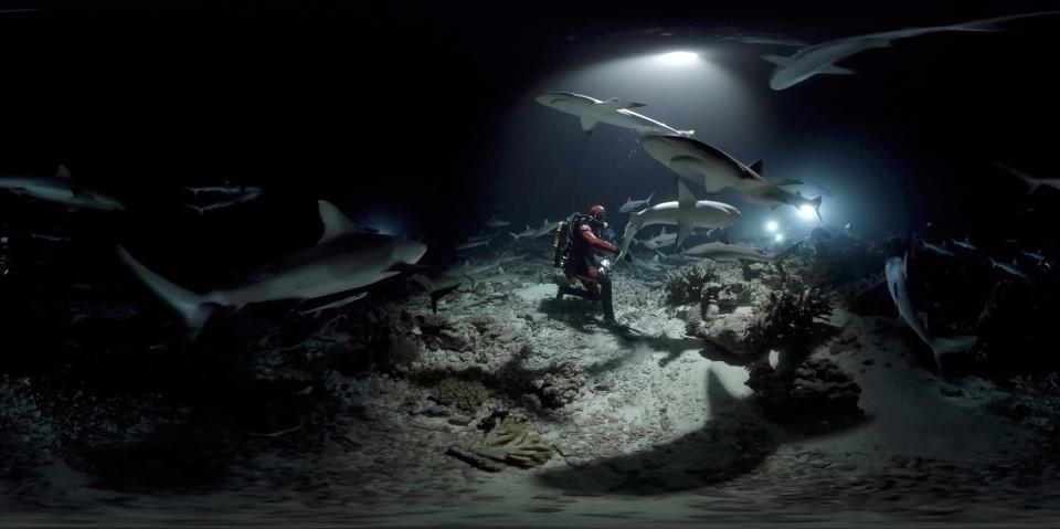 高市駁二VR體感劇院攜手法國在台協會 推VR限時放映與體驗活動開放預約報名