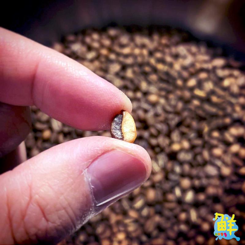 河堤商圈午後秘境! 職人手沖 咖啡秘辛河堤館 邀您品嚐精品咖啡的奧妙