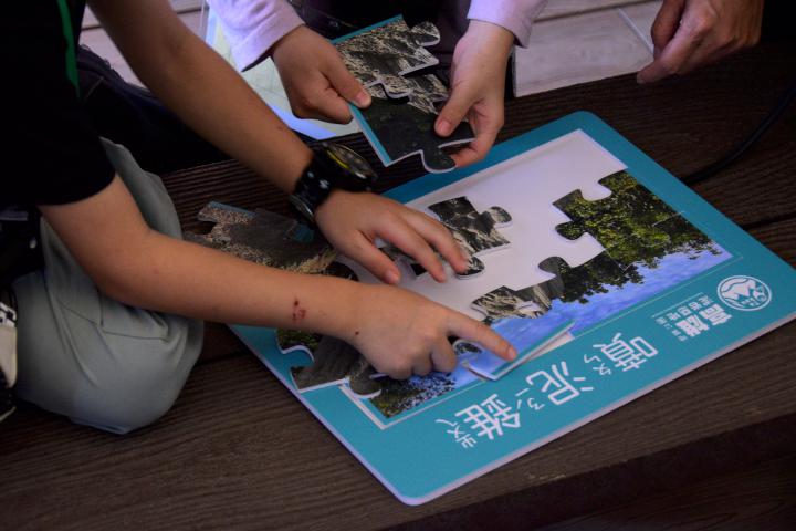 高市農業局神農市集「綠植生活+」 9月27日、28日相約凹子底森林公園