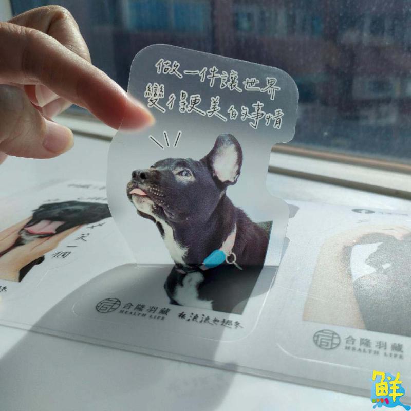 暖心企業合隆羽藏第8屆公益活動「浪浪也過冬」開跑囉!