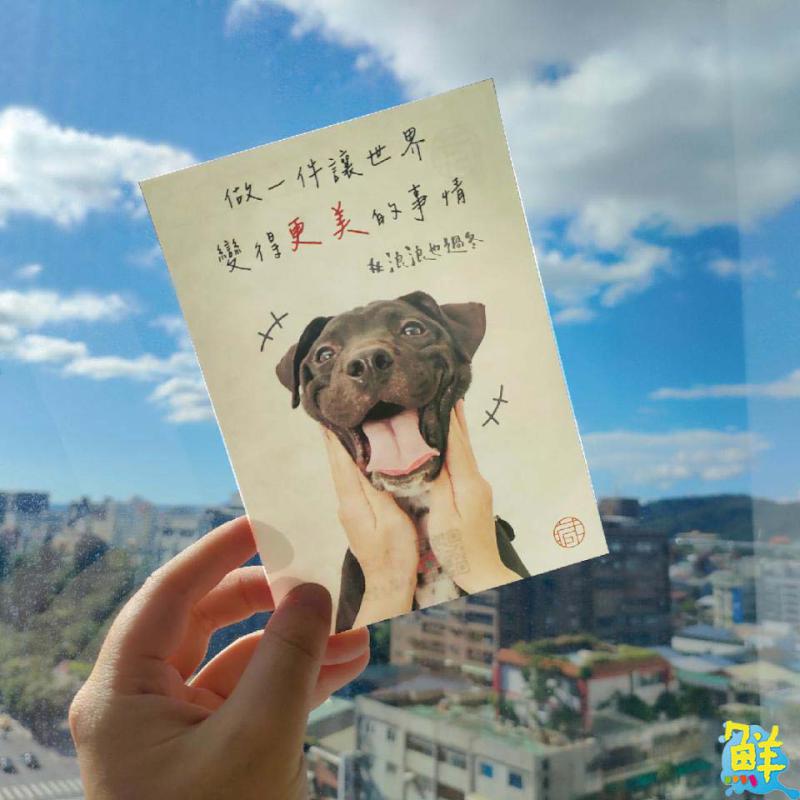 暖心企業合隆羽藏第8屆公益活動「浪浪也過冬」開跑囉!