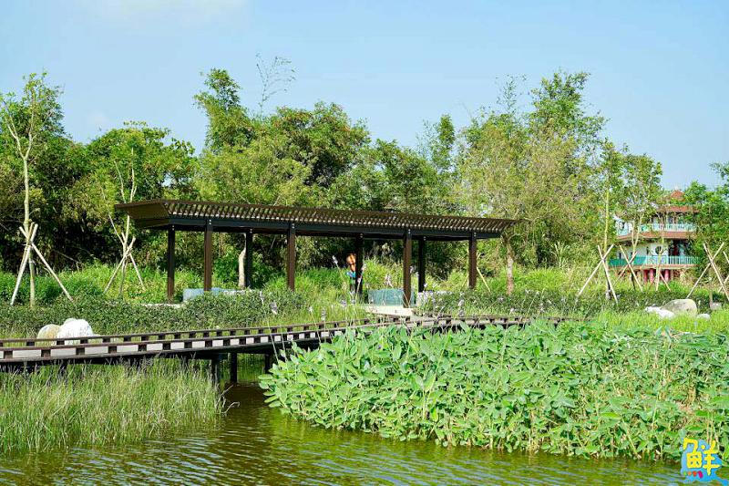 高雄生態新亮點!觀音湖華麗變身 勇奪2025建築園冶獎及國家卓越建設獎