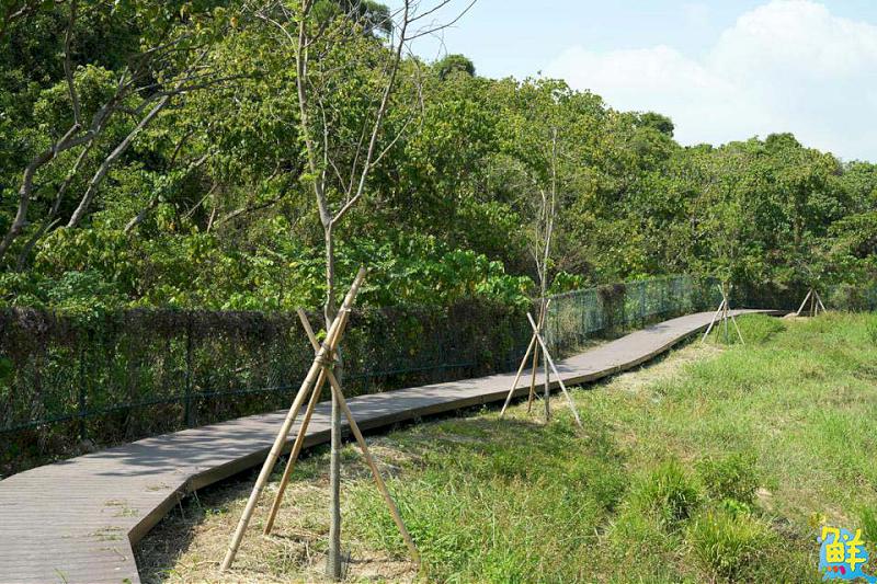 高雄生態新亮點!觀音湖華麗變身 勇奪2025建築園冶獎及國家卓越建設獎