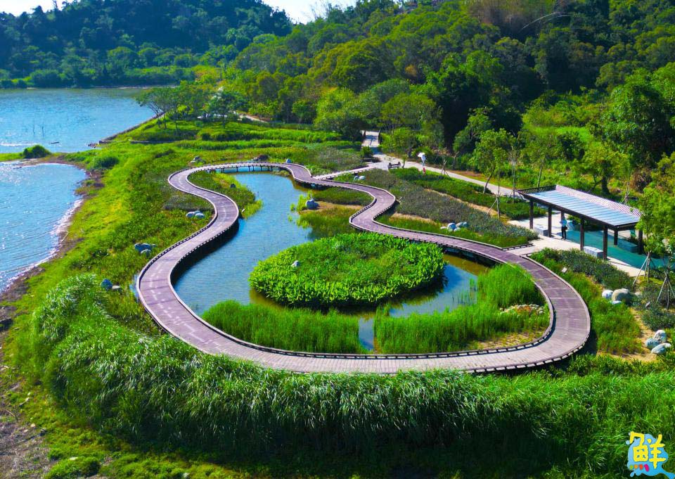 高雄生態新亮點!觀音湖華麗變身 勇奪2025建築園冶獎及國家卓越建設獎