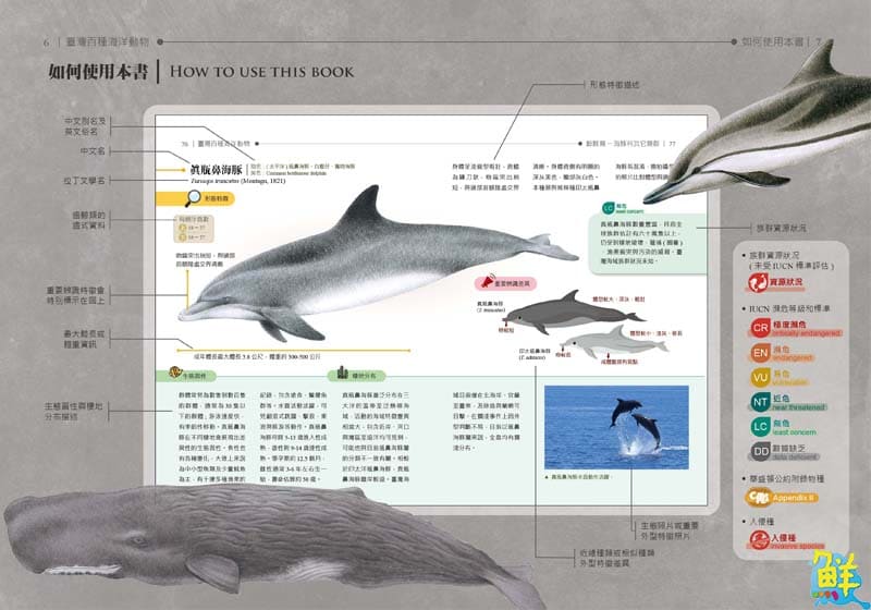 海保署出版全台首本海洋動物圖鑑 匯集百種生物涵蓋瀕危物種