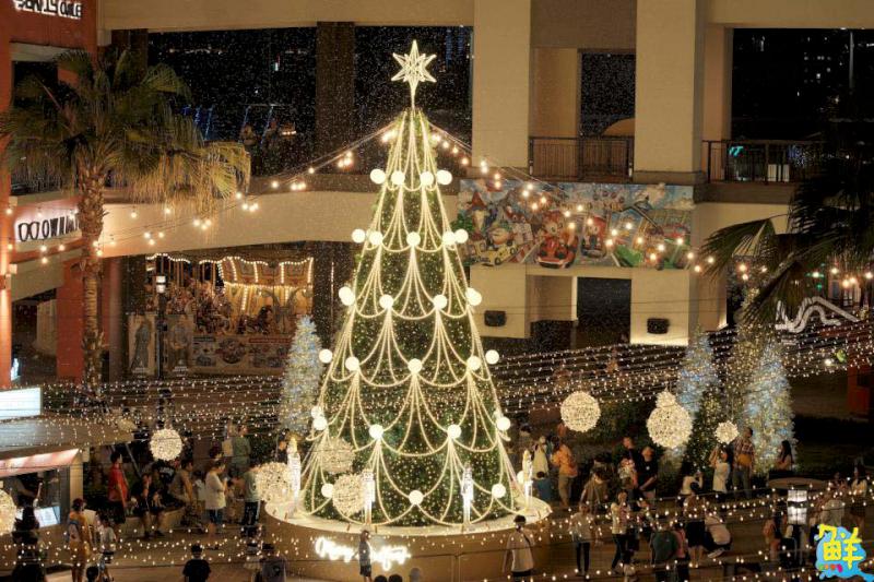 全台最美聖誕村!SKM Park Outlets高雄草衙森林耶誕村夢幻登場