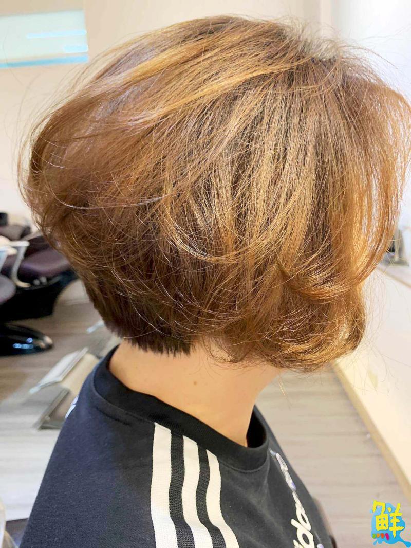 好整理的髮型 就是最佳設計 心雅髮型 給您最專業的髮絲呵護