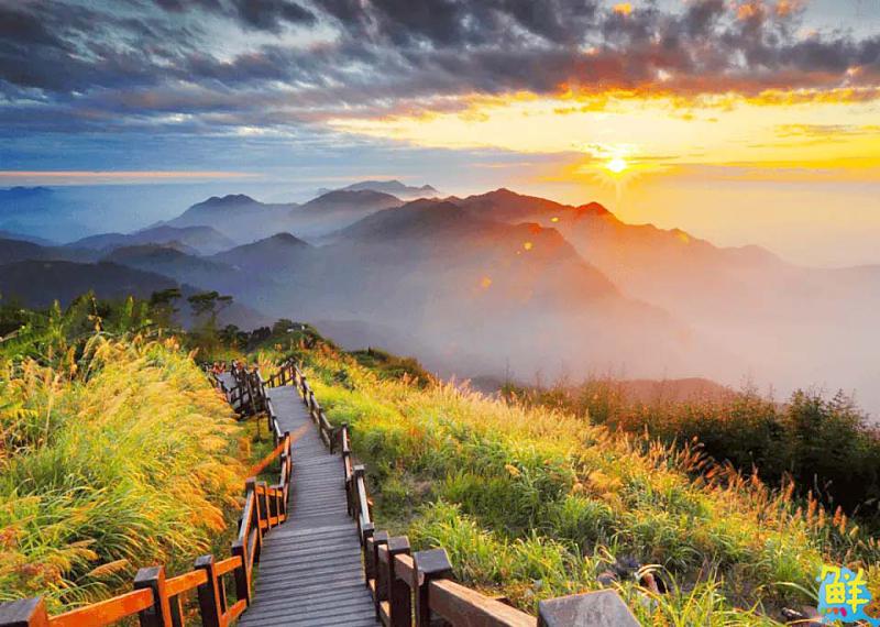 【第264期】唷吼!探訪阿里山得天獨厚的天然美景 晨曦日出、星空漫漫 盡收眼底