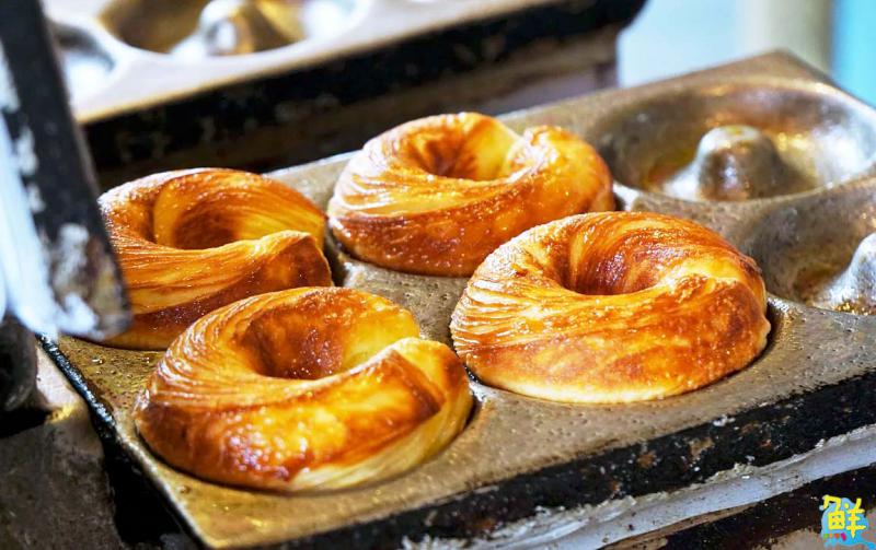 【第264期】唷吼!探訪阿里山得天獨厚的天然美景 晨曦日出、星空漫漫 盡收眼底