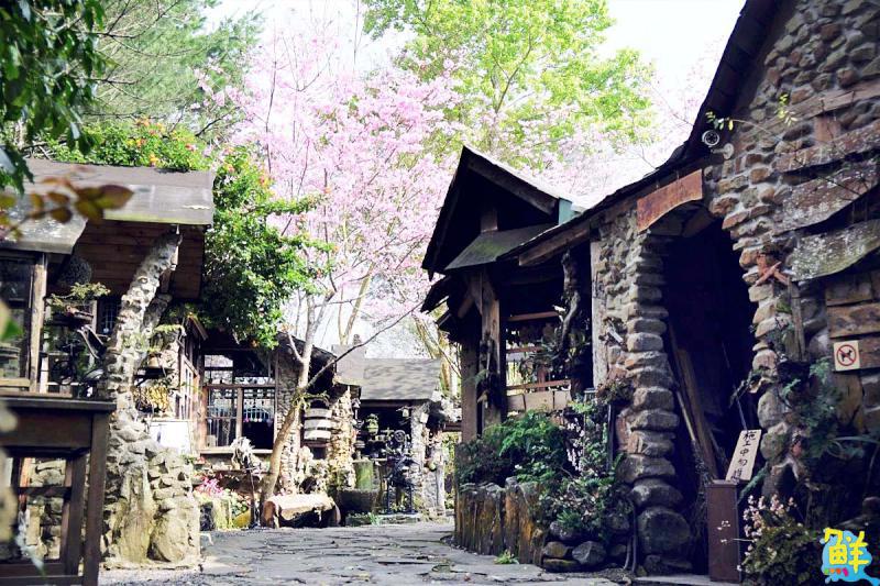 【第264期】唷吼!探訪阿里山得天獨厚的天然美景 晨曦日出、星空漫漫 盡收眼底