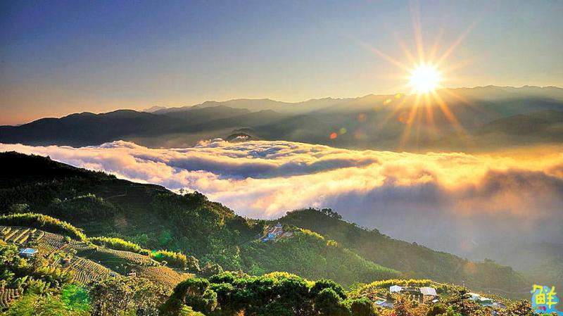 【第264期】唷吼!探訪阿里山得天獨厚的天然美景 晨曦日出、星空漫漫 盡收眼底