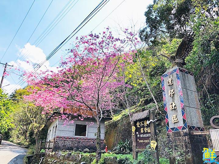 【第264期】唷吼!探訪阿里山得天獨厚的天然美景 晨曦日出、星空漫漫 盡收眼底