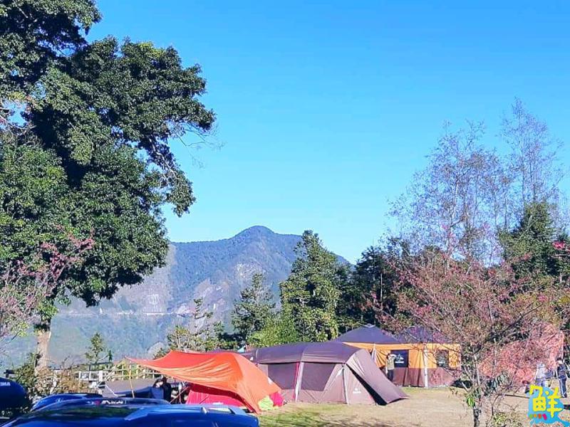 【第264期】唷吼!探訪阿里山得天獨厚的天然美景 晨曦日出、星空漫漫 盡收眼底