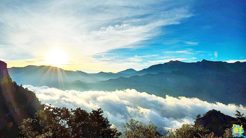 【第264期】唷吼!探訪阿里山得天獨厚的天然美景 晨曦日出、星空漫漫 盡收眼底