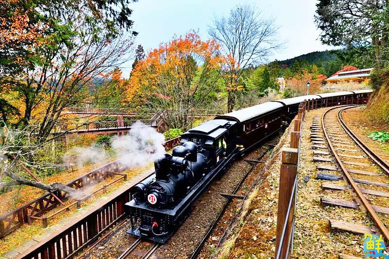 【第264期】唷吼!探訪阿里山得天獨厚的天然美景 晨曦日出、星空漫漫 盡收眼底