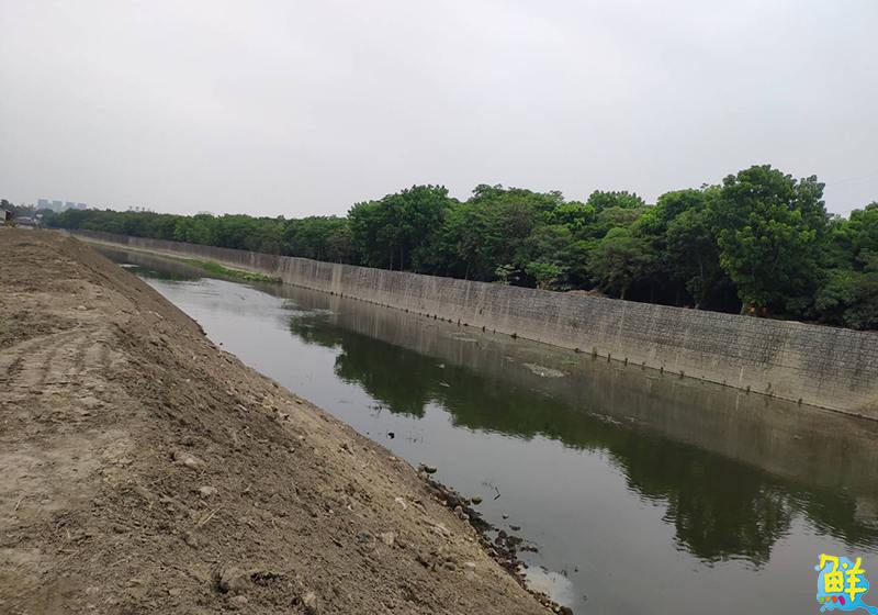 高雄市長緊盯瓶頸段改善 水利局加快改善問題