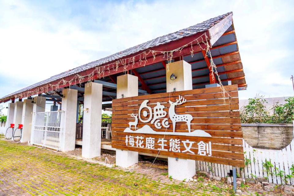 【第310期】今夏Gap year首選! 領略綠島自然、歷史與水上活動的迷人風采