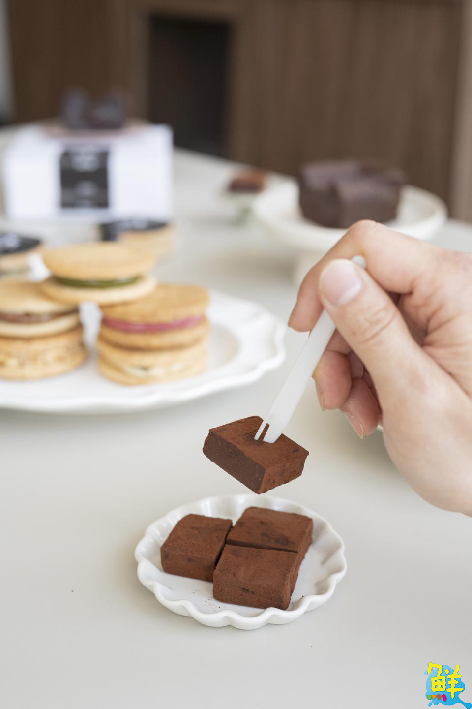 美麗島捷運站秘境甜點 職人生巧克力 MR. HOKTO療癒系!寵愛您的味蕾