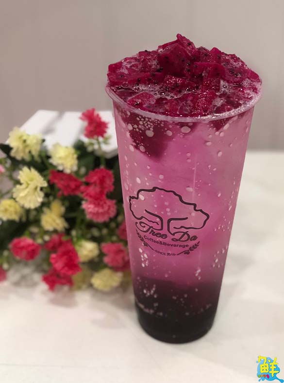 樹大飲品坊TreeDa 天然健康原味 OL最愛 人氣爆表!