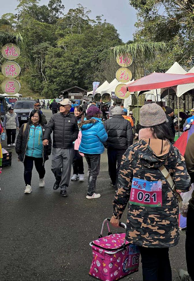 高市桃源區公所櫻花季寶山二集團櫻花公園登場 健走、原味市集、音樂表演等邀參
