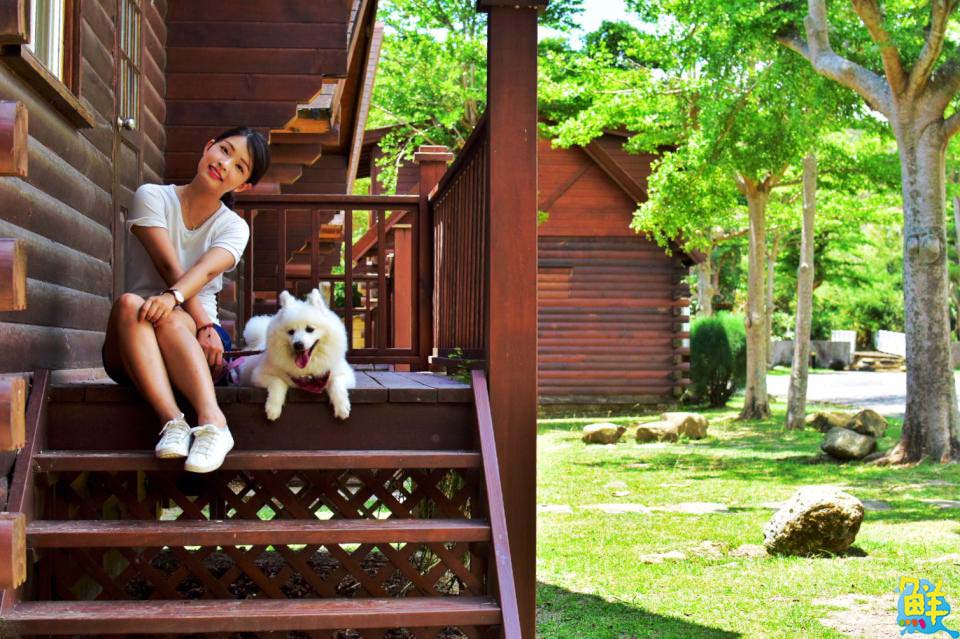 千元入住獨棟木屋!寵物友善小墾丁渡假村 邀您海陸空一次玩到飽