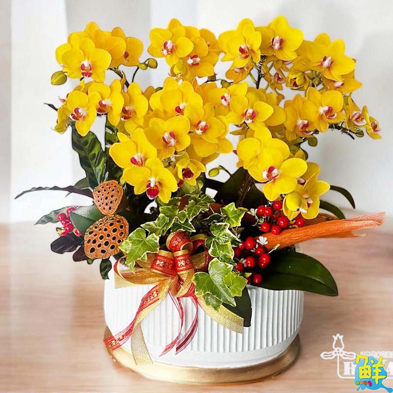 以花傳遞 那藏於心中的感謝 國際皇家花藝設計為天下父親獻上敬愛之花