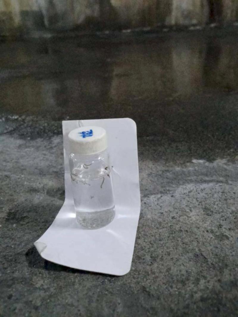 高市新增9本土染登個案累計339例 籲高風險對象留意健康有症狀速就醫