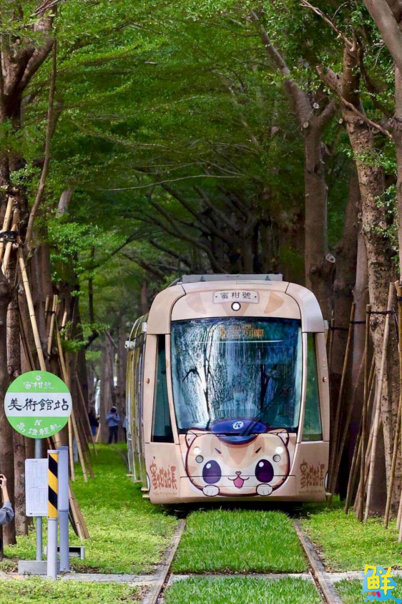 高雄幫您抓緊姻緣線!告白約會最佳好所在