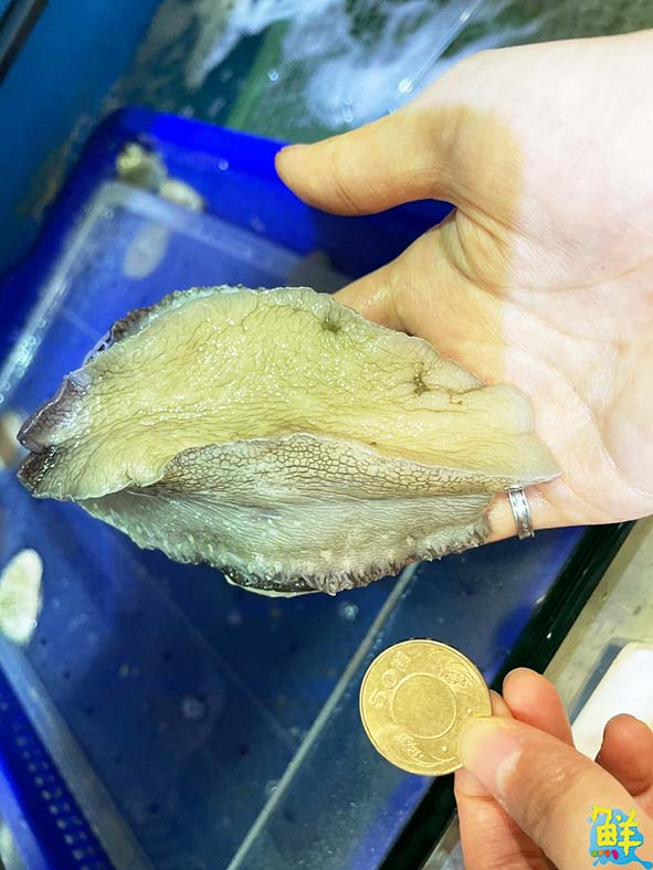 吃貨工廠 Foodie Factory  消費者的漁獲許願池 