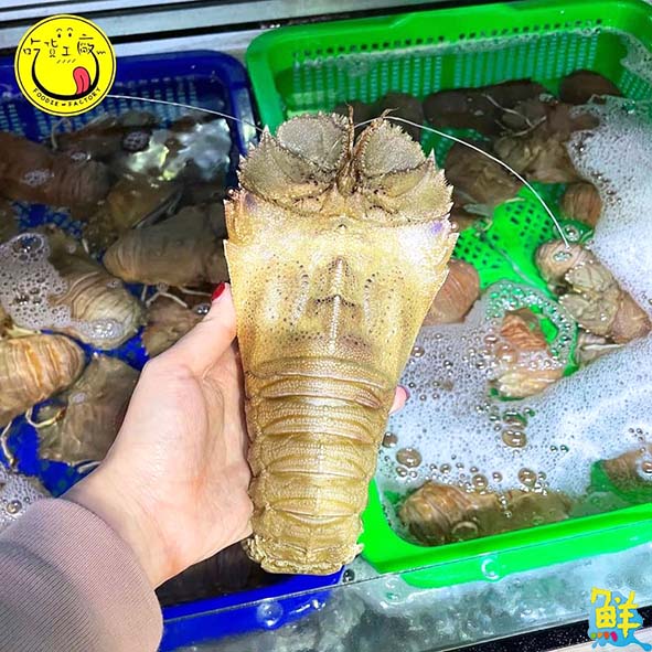 吃貨工廠 Foodie Factory  消費者的漁獲許願池 