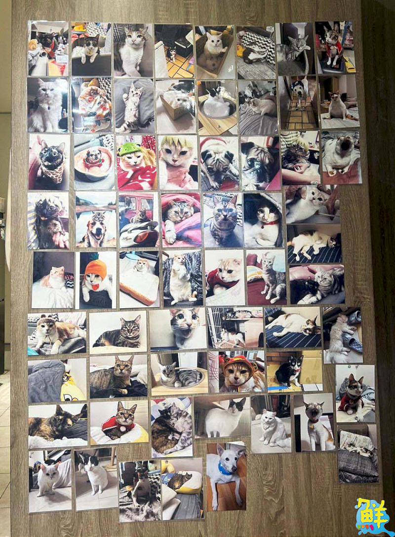 鹽埕美味首選 桃樂思便當專賣店 低鹽少油無負擔 粉絲大推:就是這家!