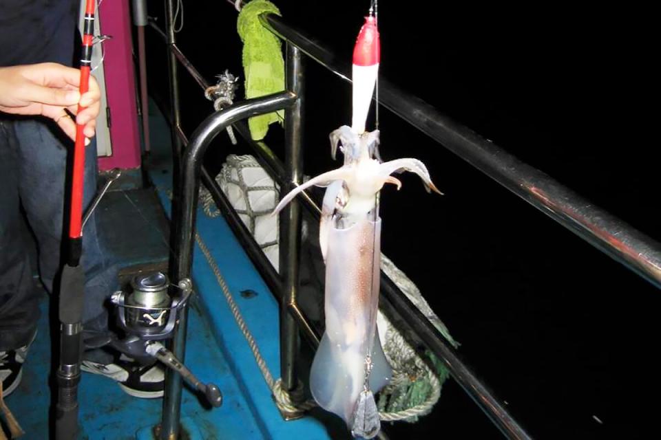 【第305期】台灣海島探訪趣I 春遊小琉球 享受海龜共游感受大自然的奧妙