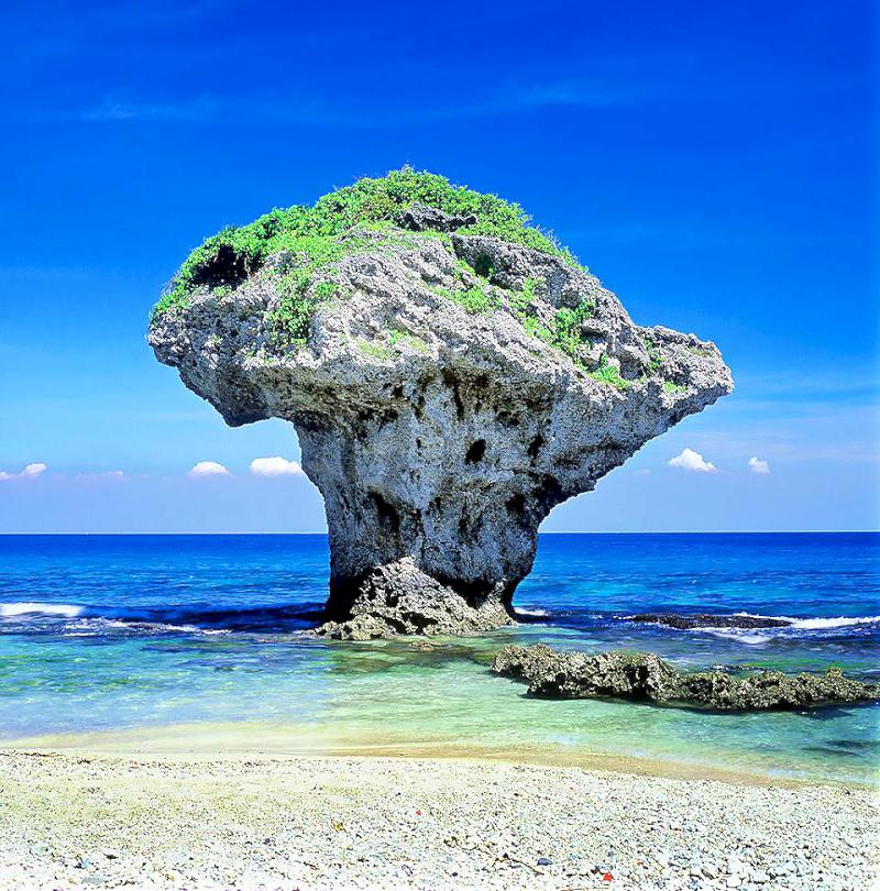 【第305期】台灣海島探訪趣I 春遊小琉球 享受海龜共游感受大自然的奧妙