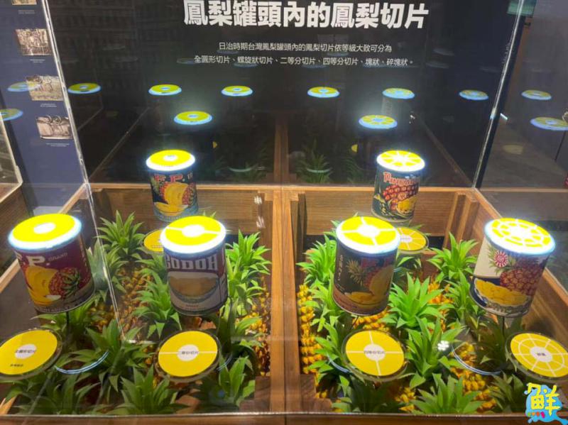 大樹生態採果趣!鐵馬遊揪您吃「最對時」的鳳荔