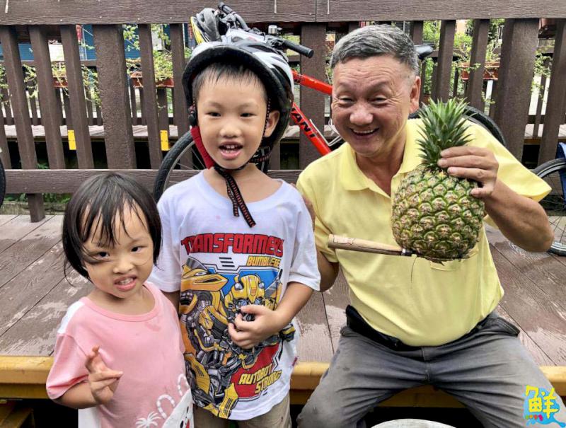 大樹生態採果趣!鐵馬遊揪您吃「最對時」的鳳荔
