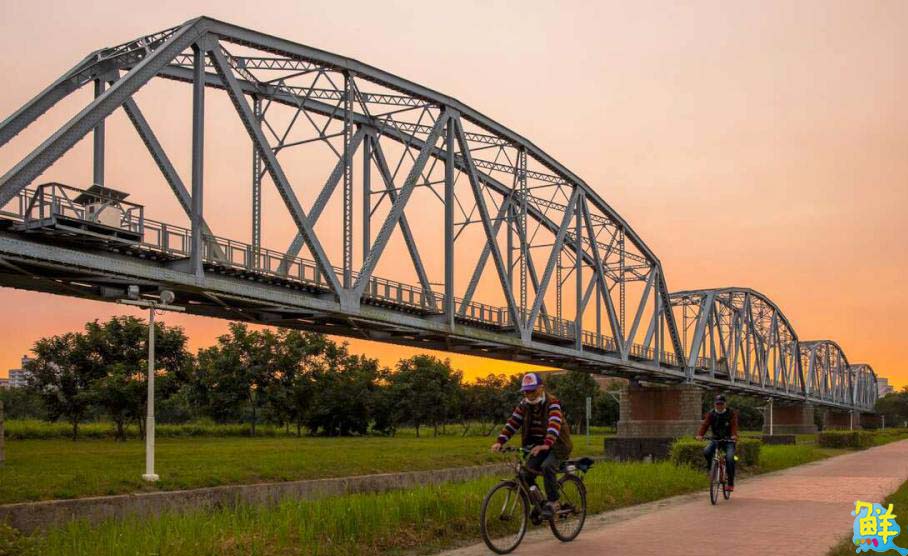 大樹生態採果趣!鐵馬遊揪您吃「最對時」的鳳荔