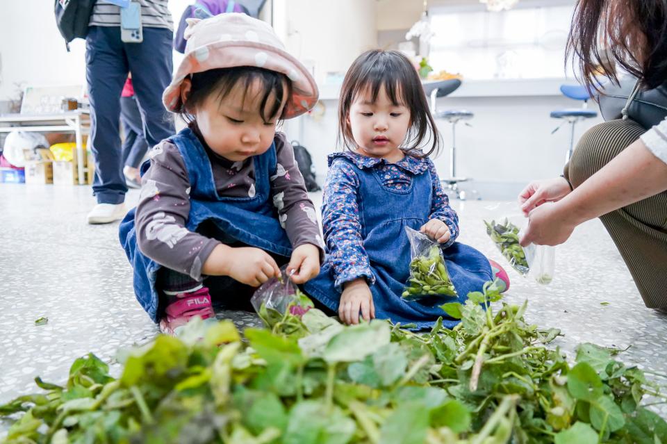初秋微涼高雄海線旅遊首選「2024海線潮旅行」4線齊發 體驗最潮北高海味