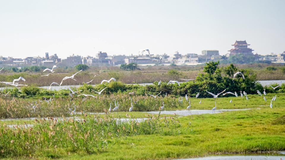 初秋微涼高雄海線旅遊首選「2024海線潮旅行」4線齊發 體驗最潮北高海味